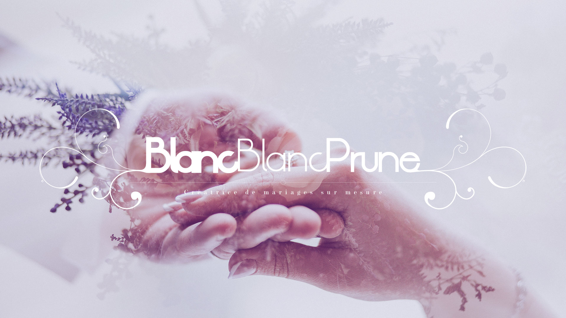 Univers de marque BlancBlancPrune