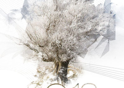 Inoé consulting | Artwork voeux 2013