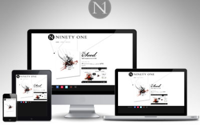 Ninety One | Site web