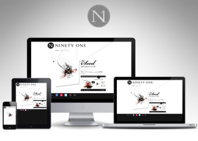 Ninety One | Site web