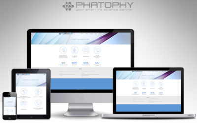 Phatophy | Site internet