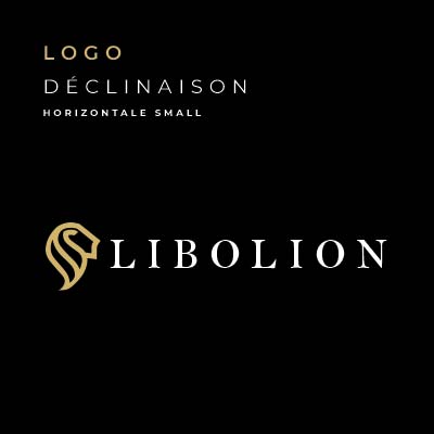 Déclinaison logo horizontale réduite Libolion